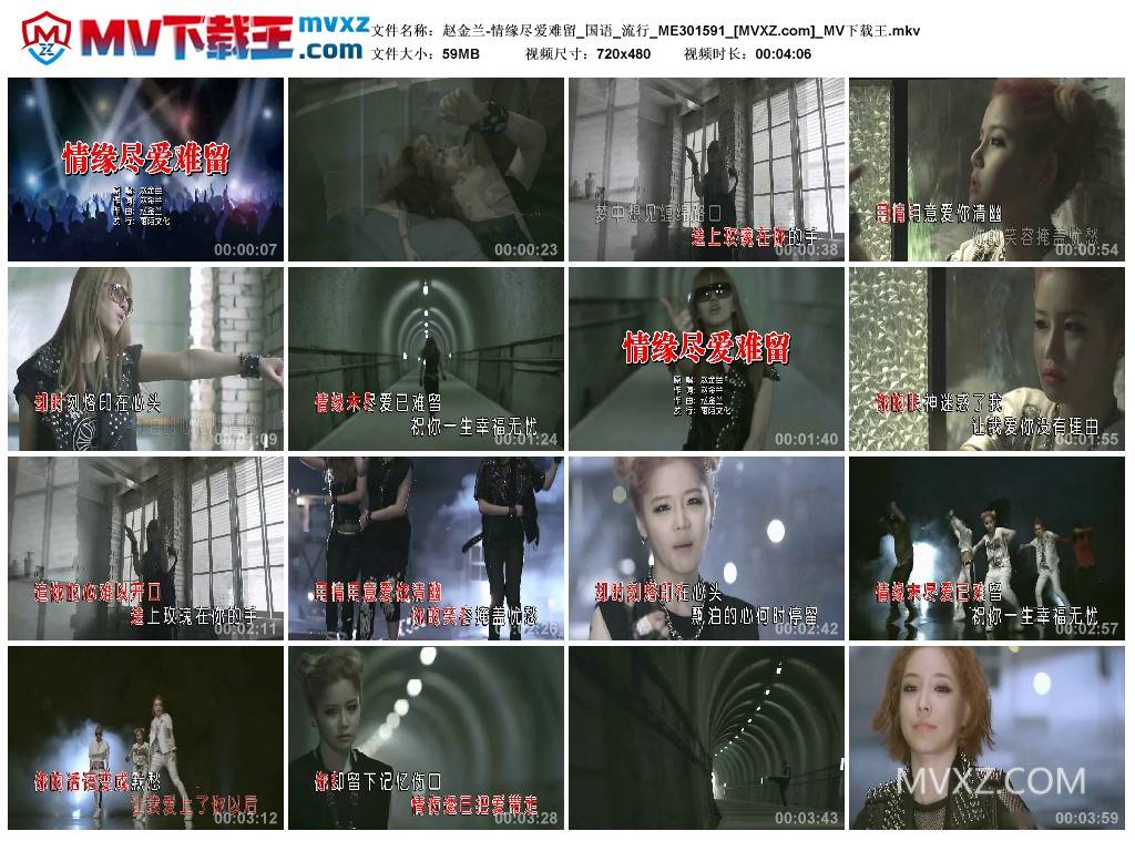 赵金兰-情缘尽爱难留_国语_流行_ME301591